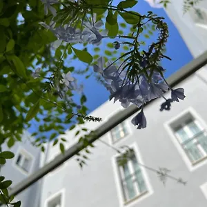 San Miguel Menorca Hotel