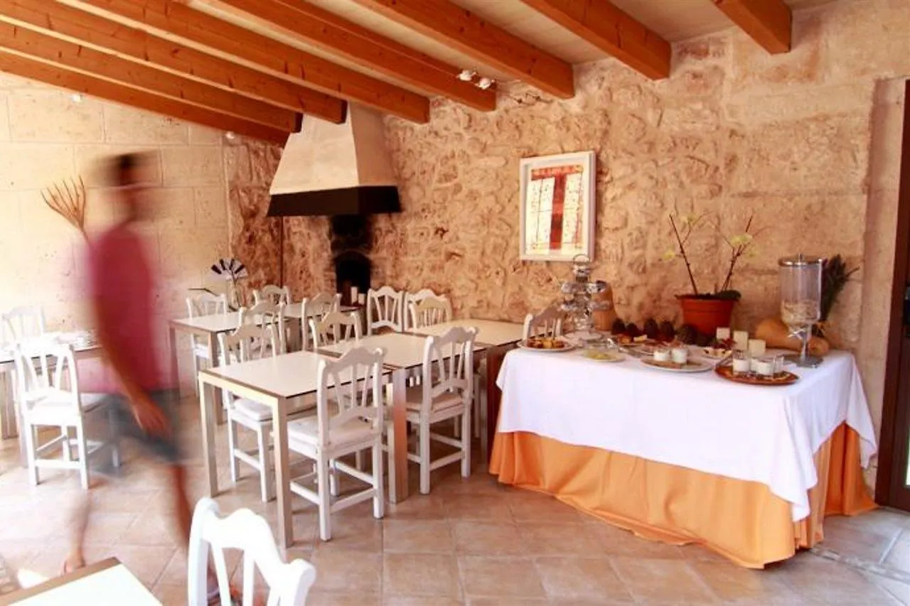 **** Hotel Algaida Suites By Eurotels Spain